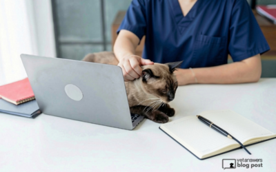 Navigating New Veterinary Technology: How to Choose What’s Best for Your Clinic